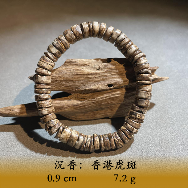 LSTS天然野香港虎斑C718