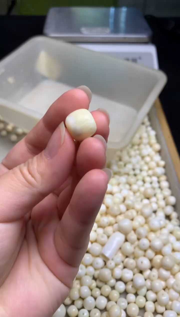 【闪购商品】橄榄核手串/手链猛犸猛犸2.8g猛犸猛犸R102