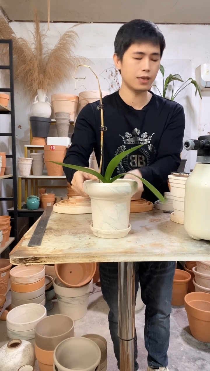 15*14绿白陶蘑菇 1盆1托