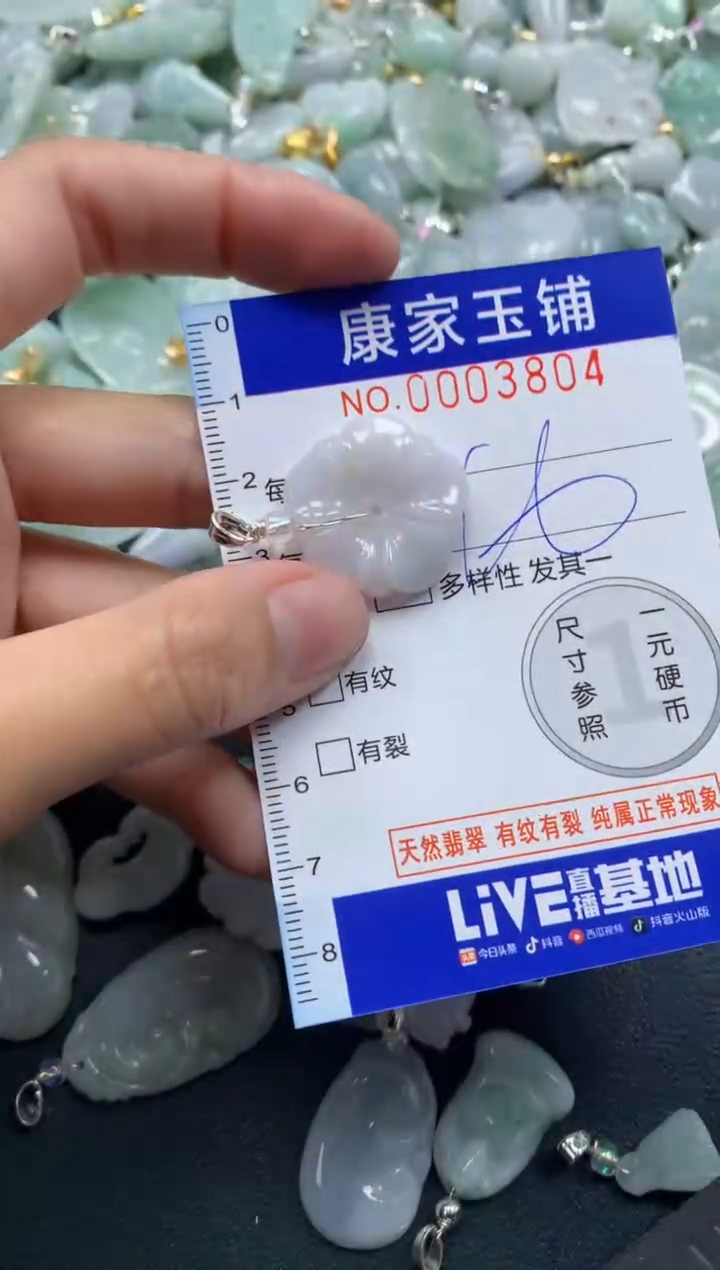 颈饰未镶嵌翡翠3804