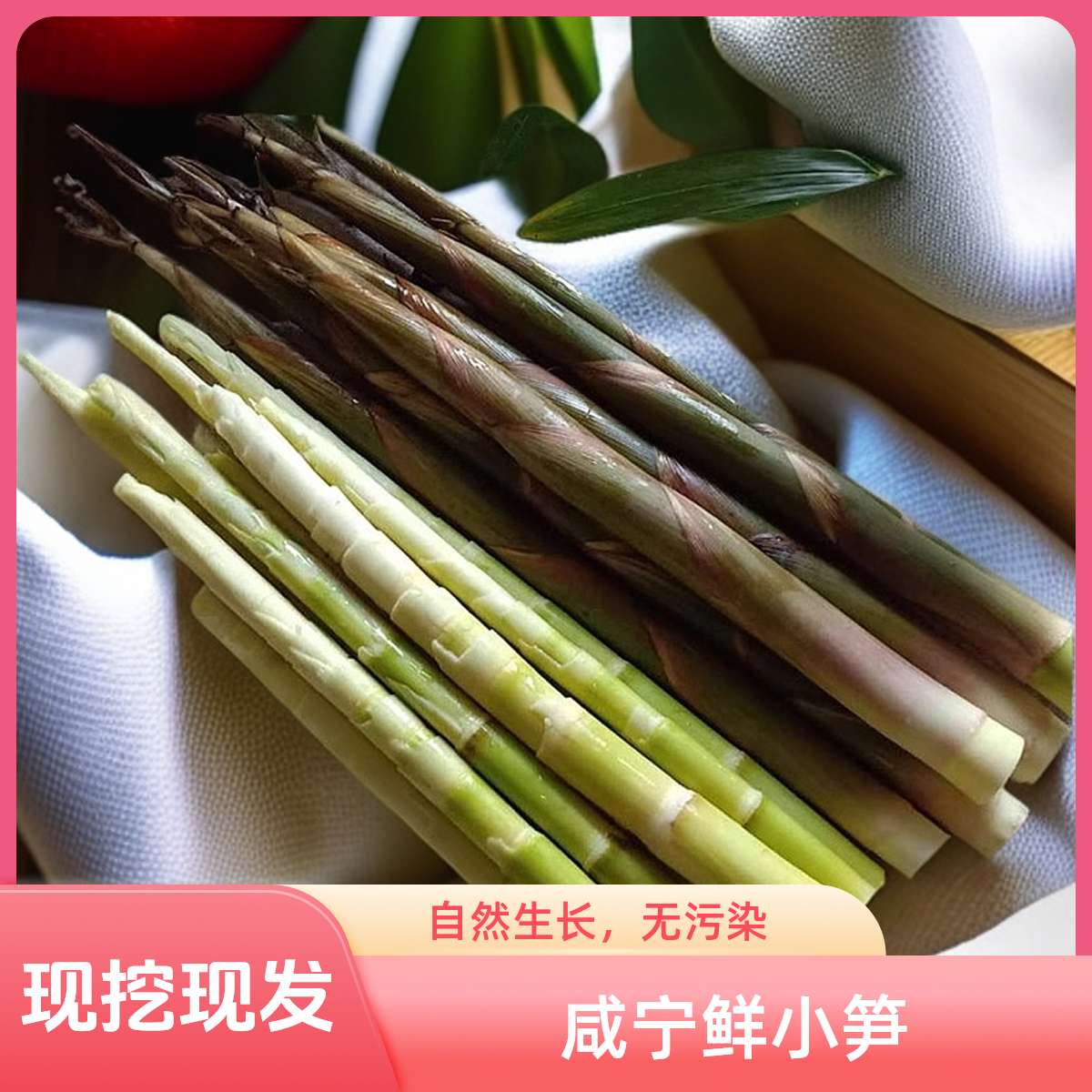 咸宁现挖新鲜带壳小笋当季嫩小笋冷链直达