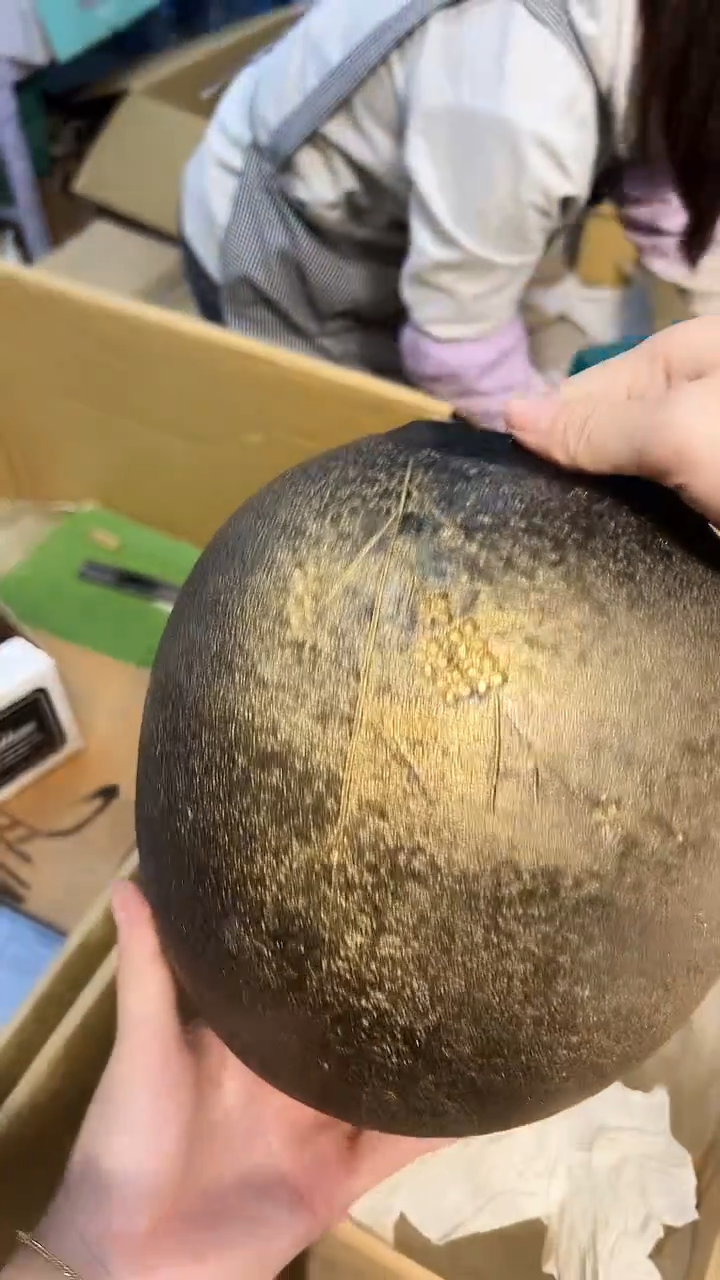 瓷片1218好好好好好好