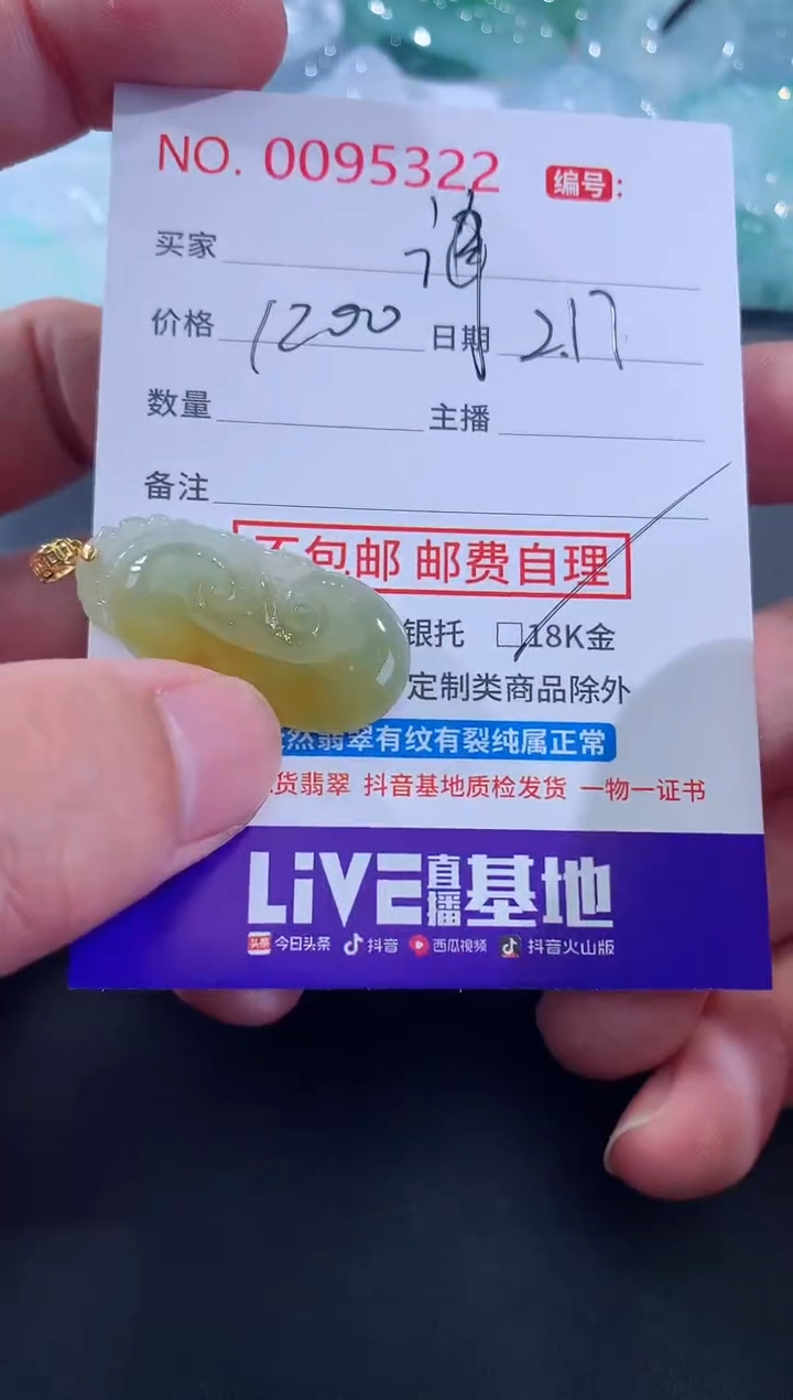 【闪购商品】翡翠颈饰未镶嵌海