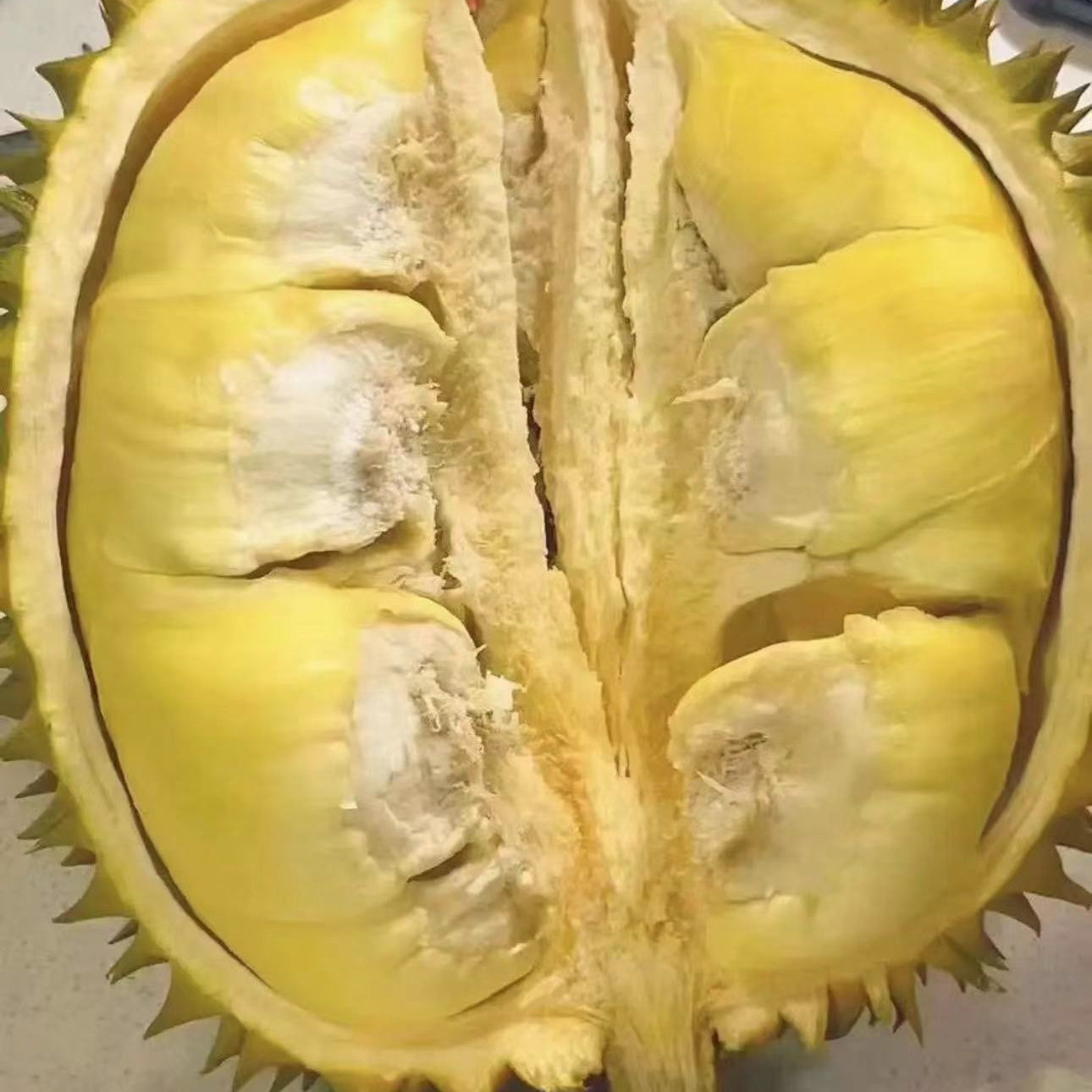 【吉林市同城配送】金枕奶油新鲜榴莲核小500克（一果一拍）3号榴莲金枕