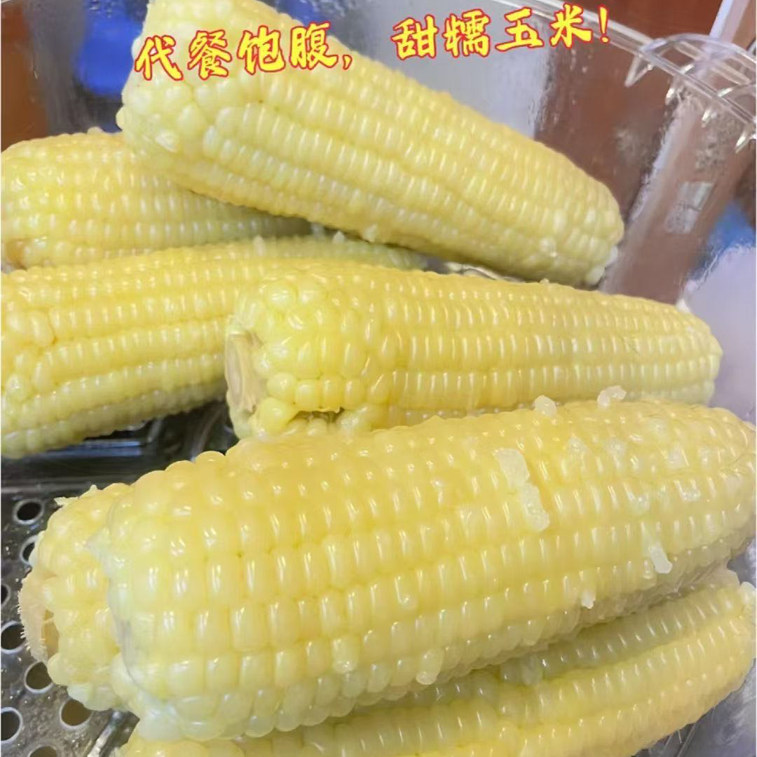 恒糯玉米【10根/袋】