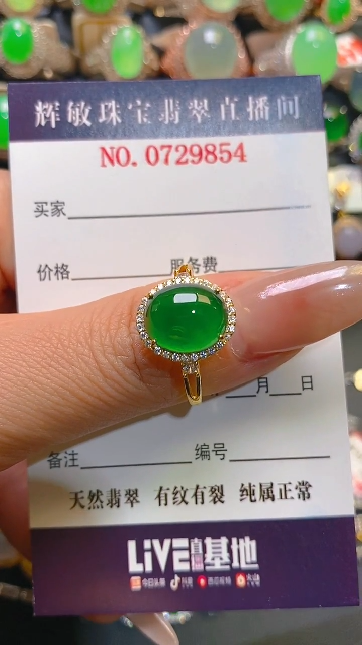 【闪购商品】翡翠耳饰银S925镶嵌天然A货翡翠1