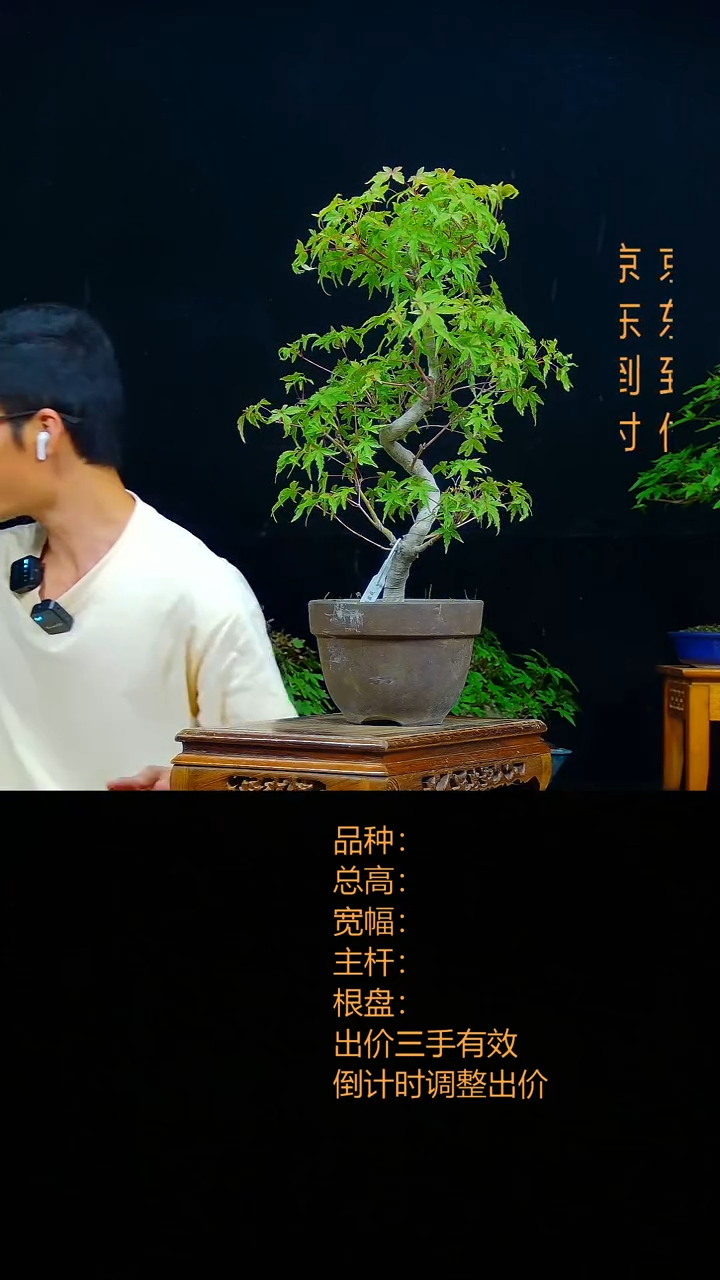 无花朵一***界0000000045