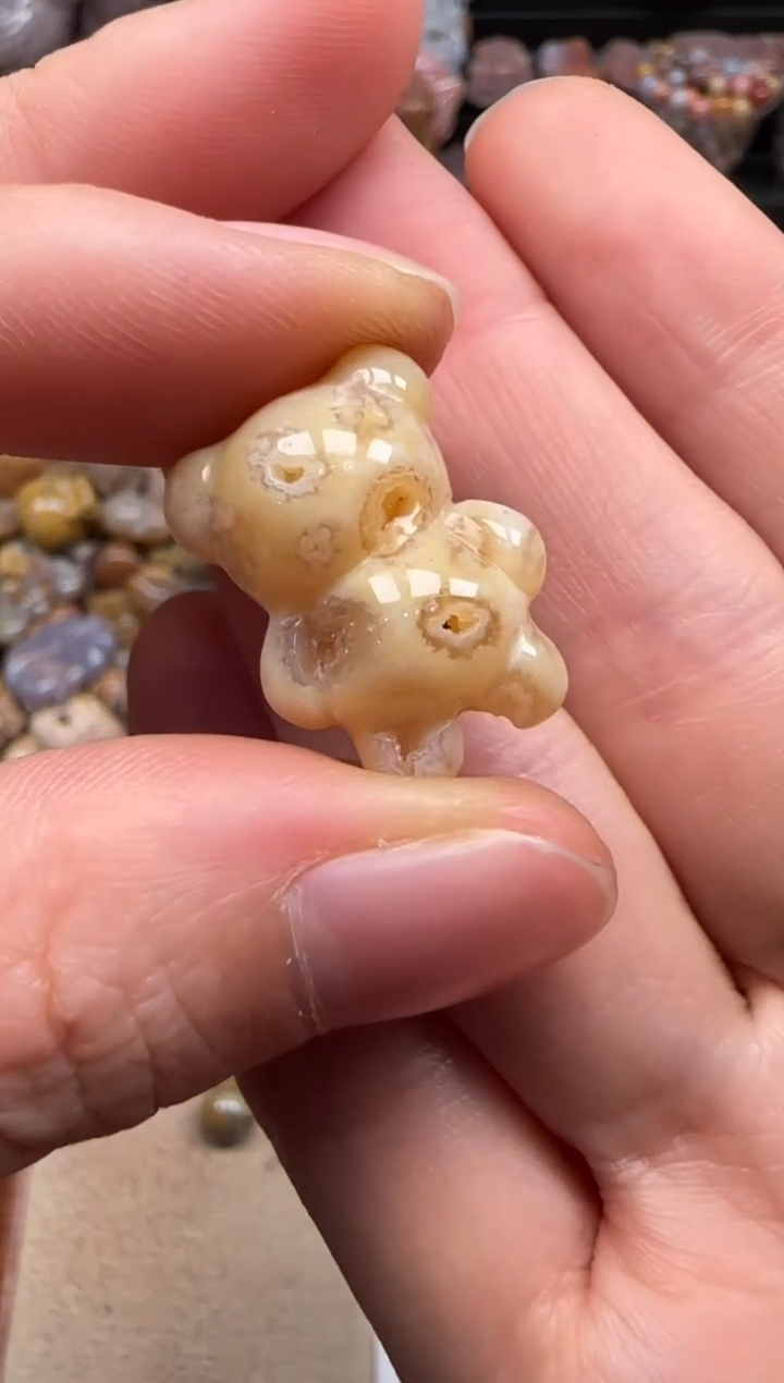 【闪购商品】硅化珊瑚（珊瑚玉）颈饰未镶嵌485