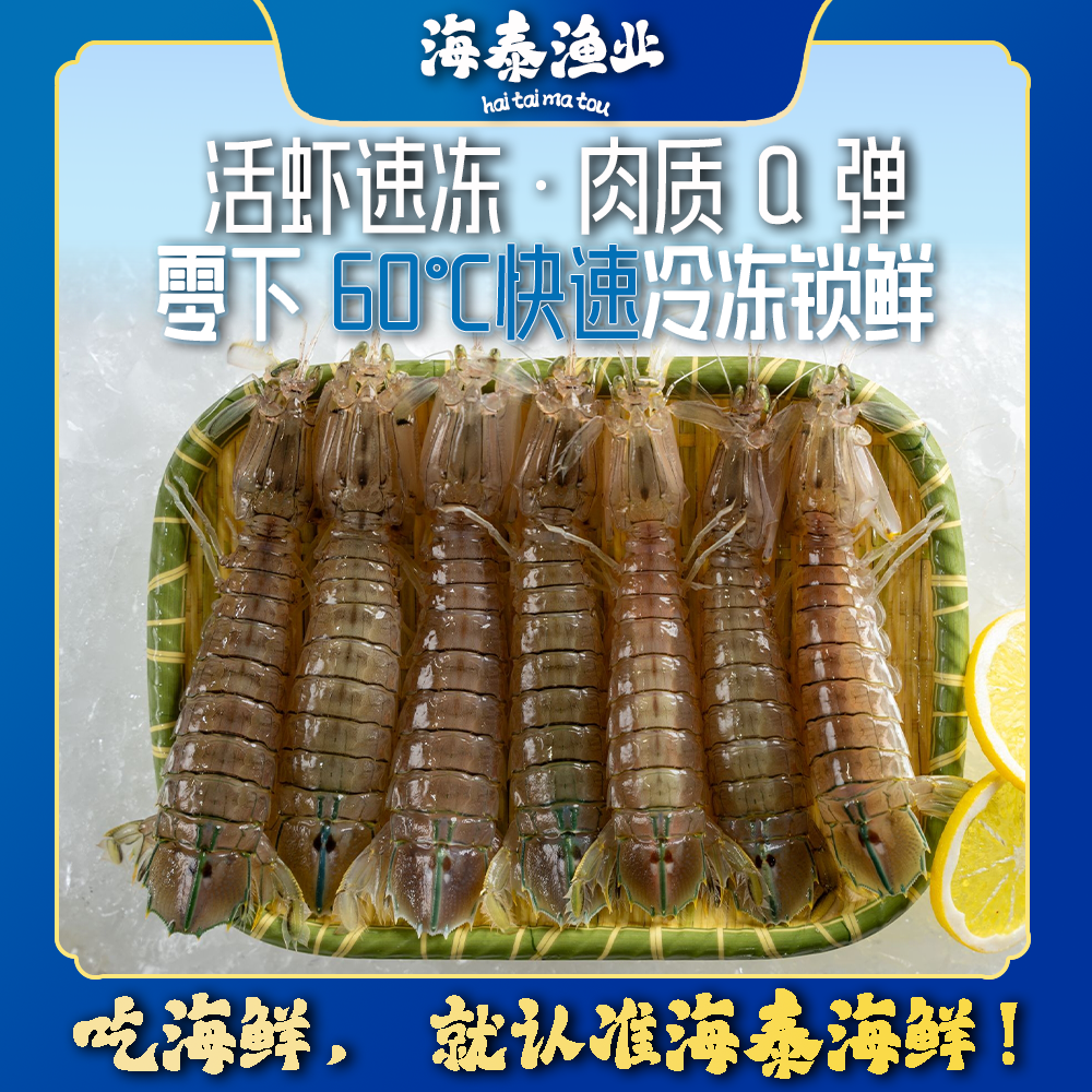 【濑尿虾】源自深海捕捞鲜活速冻冷链锁鲜直达冷链到家