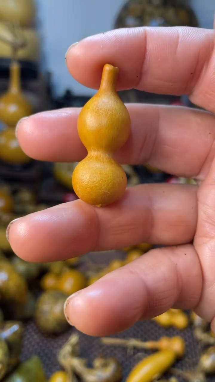 【闪购商品】葫芦葫芦葫芦葫芦