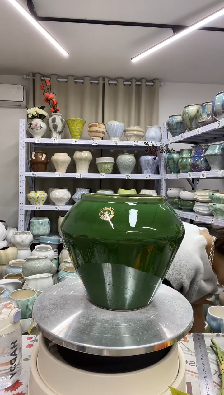 【11.4号】直播链接高： 20.5 ；口：14