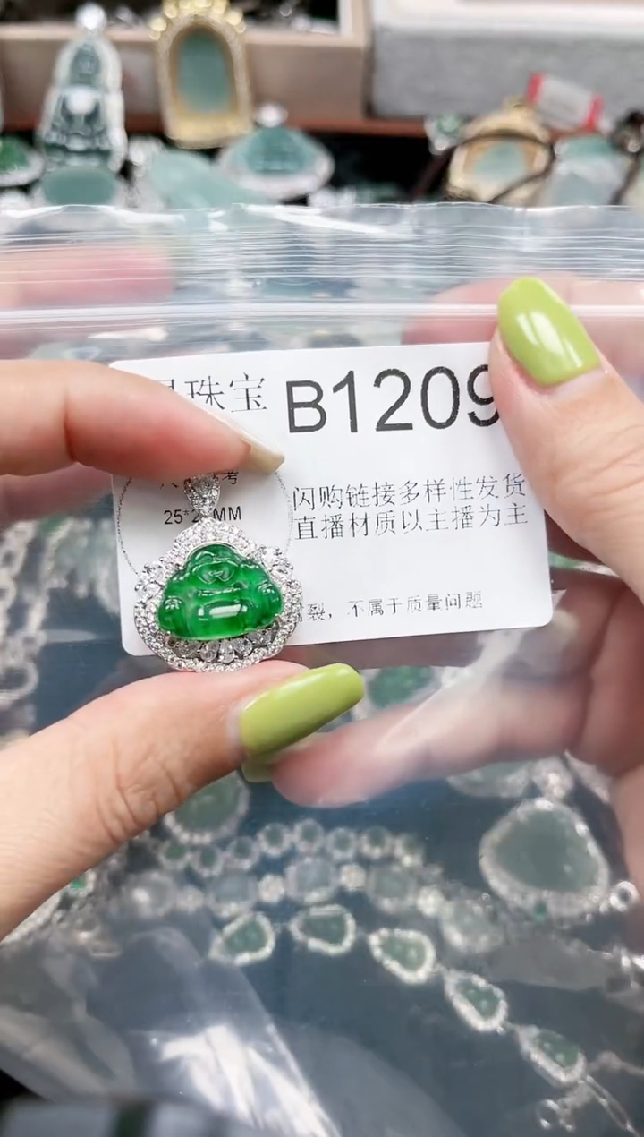 【闪购商品】翡翠颈饰未镶嵌赠皮绳1209