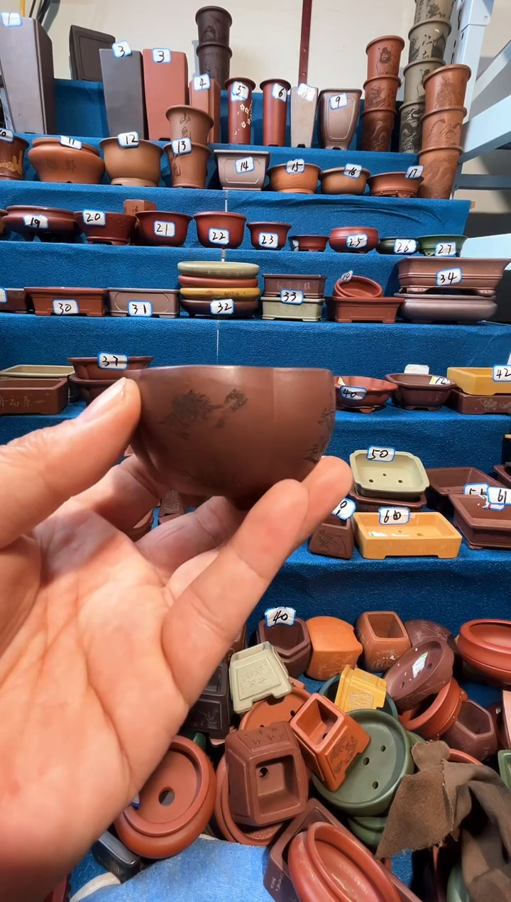 【闪购商品】紫砂紫砂花盆5.5*3