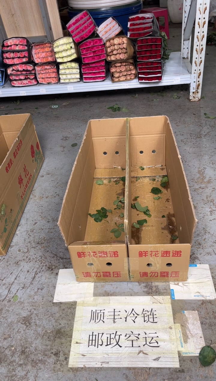 老****5洋甘菊2扎      