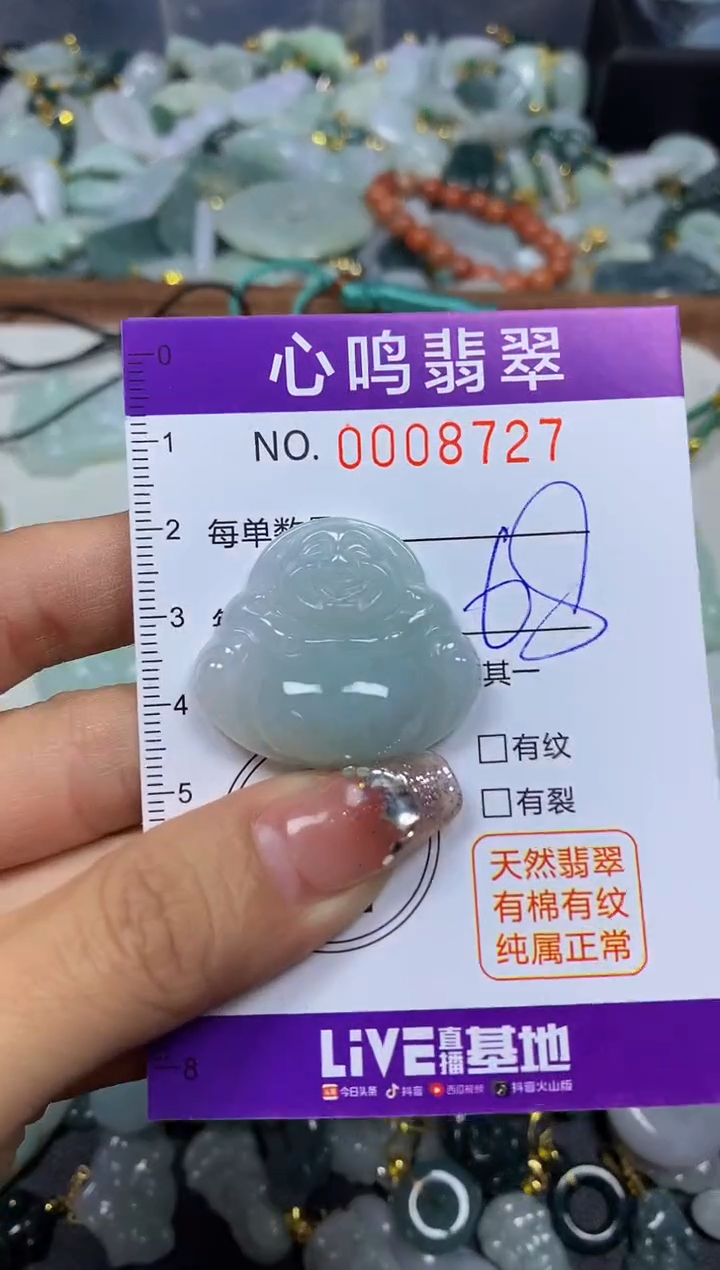 【闪购商品】翡翠颈饰未镶嵌闪购008727