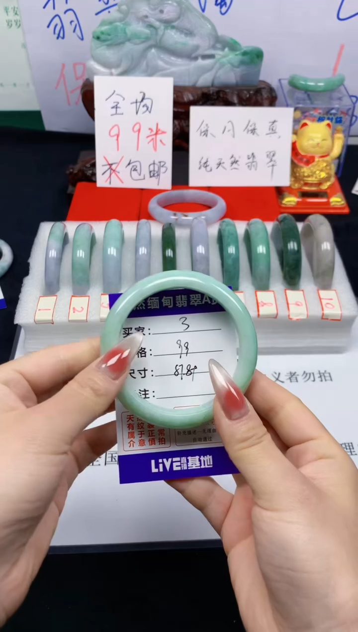 未镶嵌手镯翡翠3