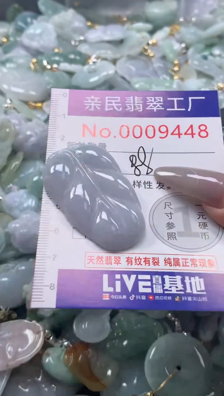 颈饰未镶嵌翡翠9448