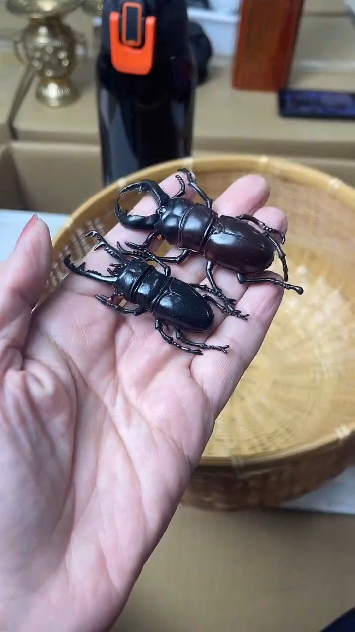 塑料关**生中古杂项默认微瑕，满18包邮