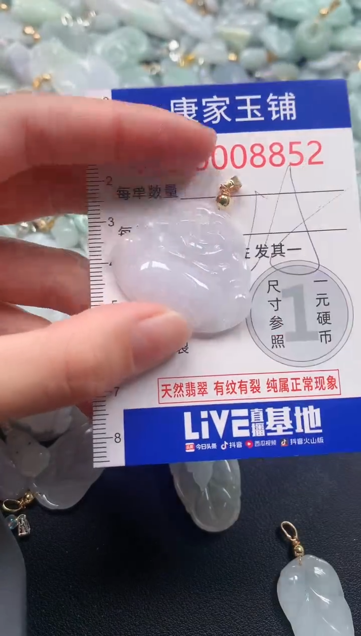 颈饰未镶嵌翡翠8852