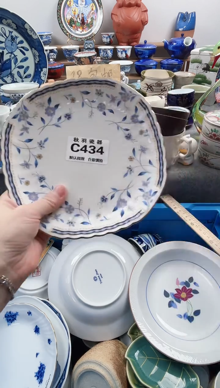 散瓷苗*月散瓷默认微瑕C434