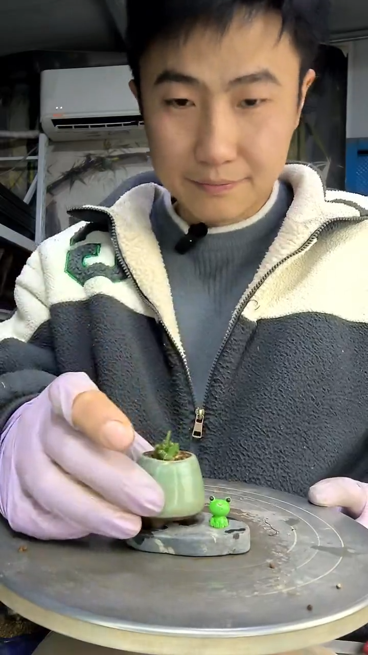 今****?中青园艺一物一拍花96