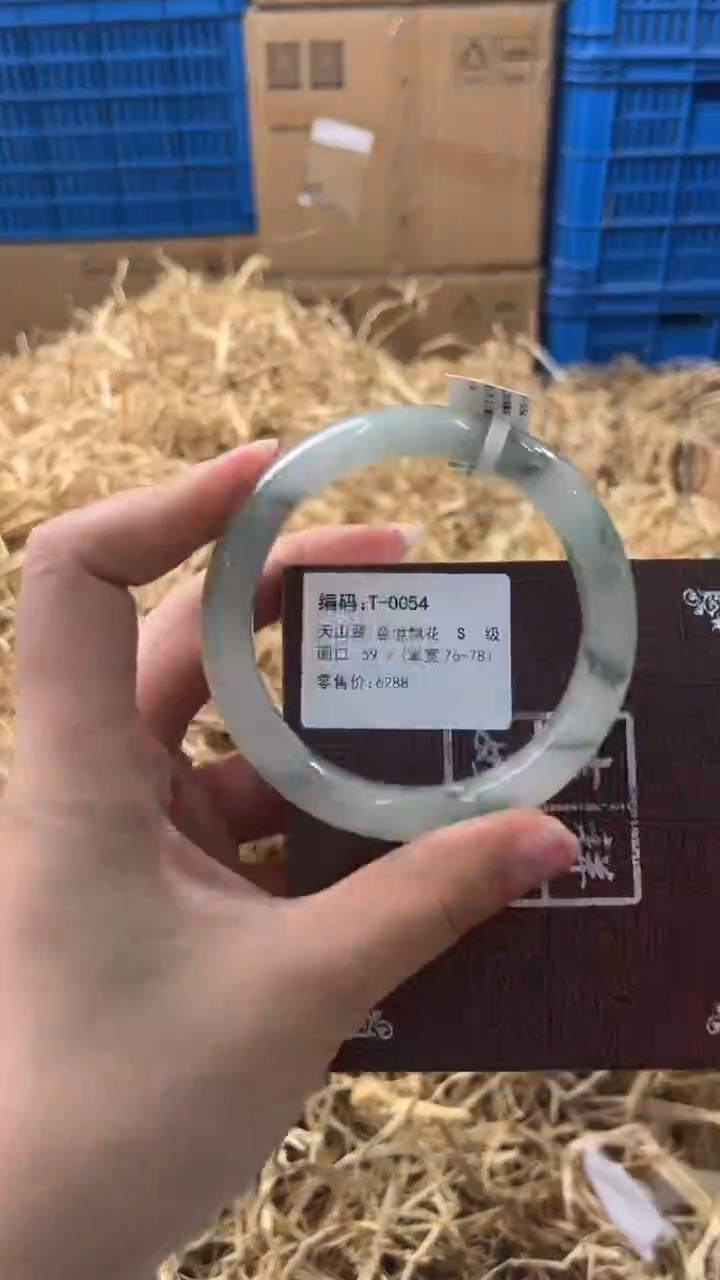 未镶嵌手镯石英质玉T-0054