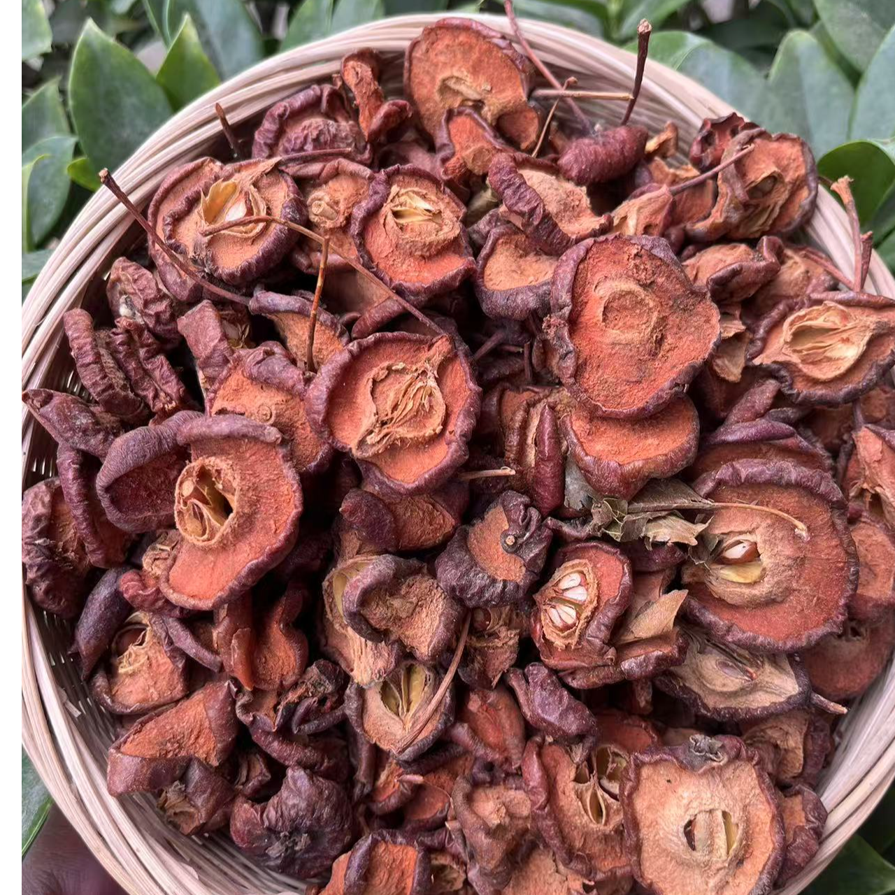 连州本地野生山楂干