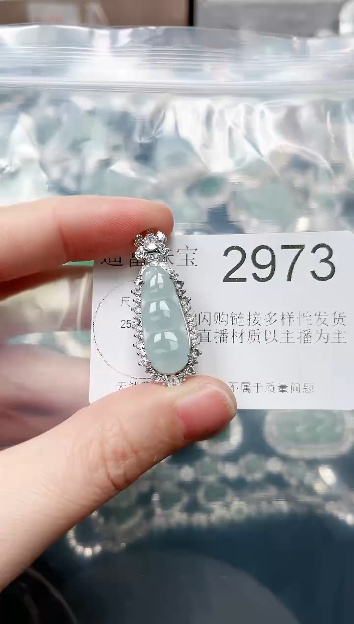 【闪购商品】翡翠颈饰未镶嵌赠皮绳2973