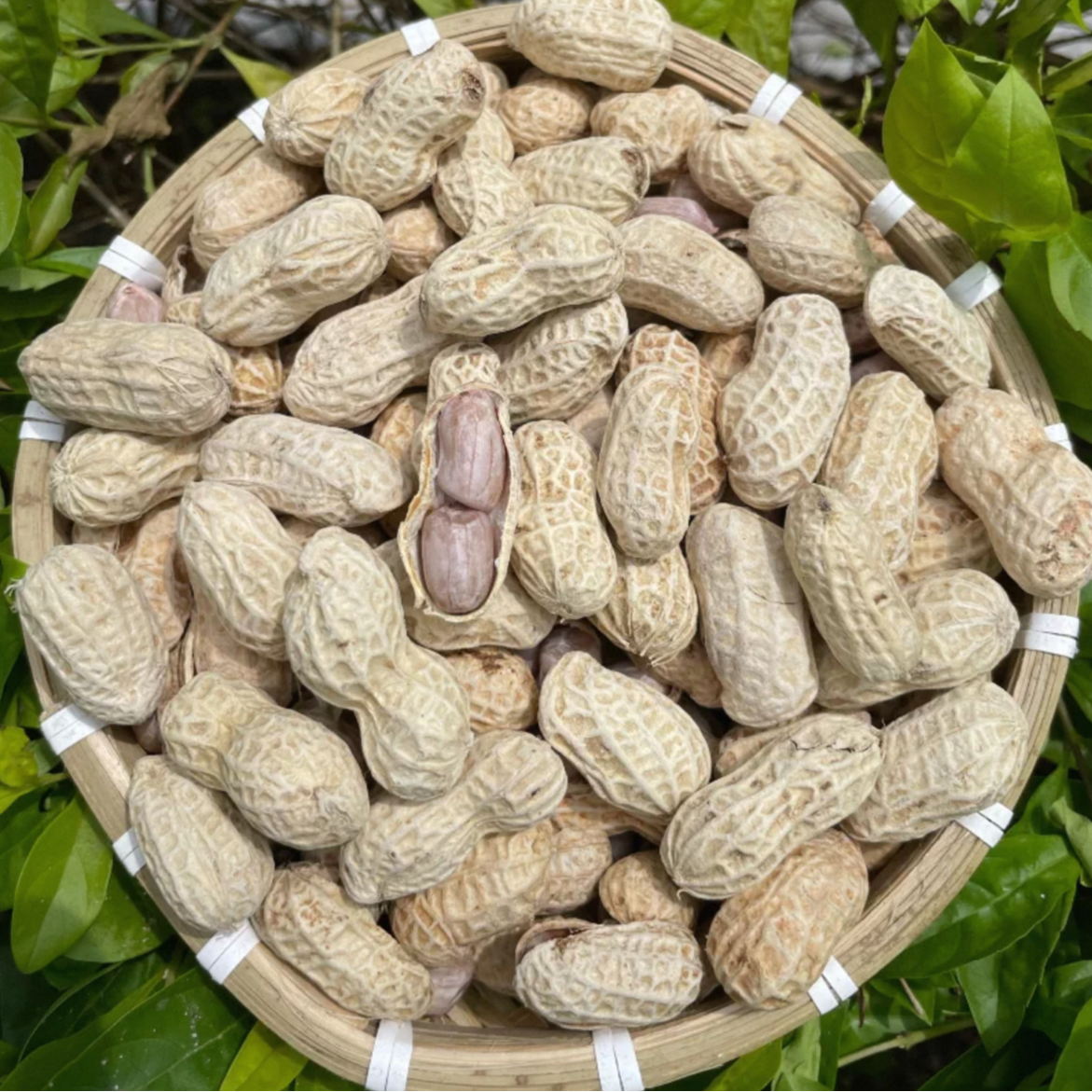 （精选）本地咸花生 500g