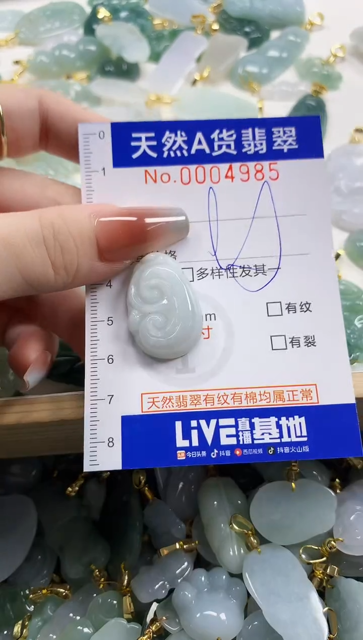 颈饰未镶嵌翡翠天然A货翡翠