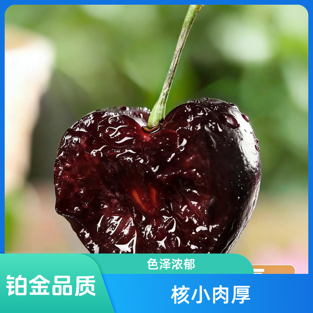 【桑提娜顺丰】智利海运进口车厘子5斤原箱顺丰包邮4JD内附果经卡桑提娜樱桃智利共和国