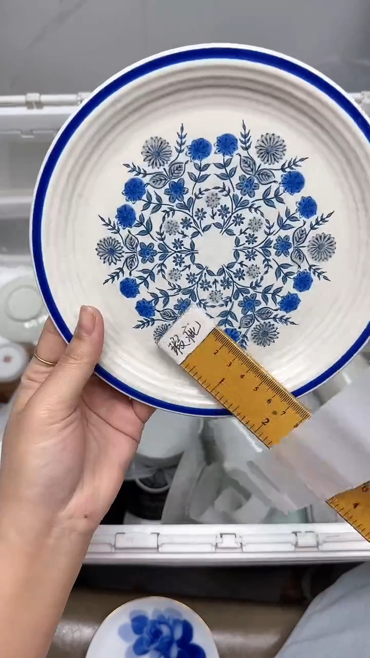 【闪购商品】101回流瓷器默认微瑕，18.8包邮