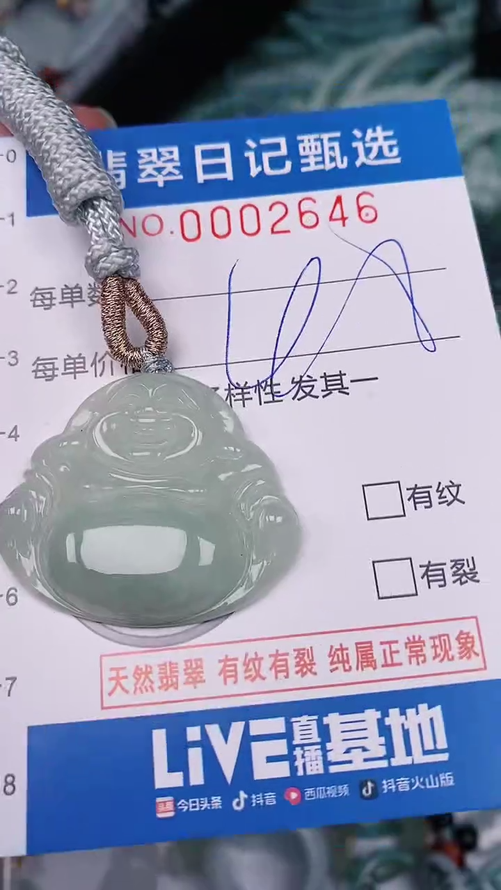 【闪购商品】翡翠颈饰未镶嵌00002647