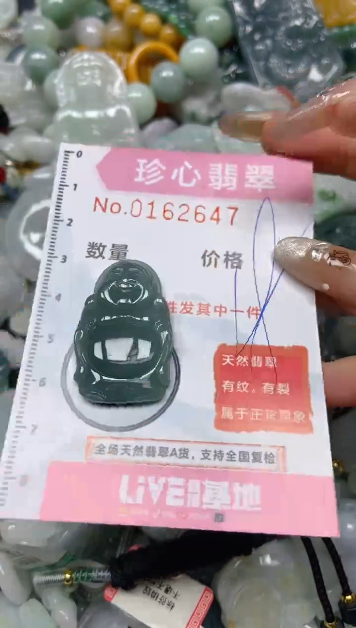 【闪购商品】翡翠颈饰未镶嵌闪购0162647