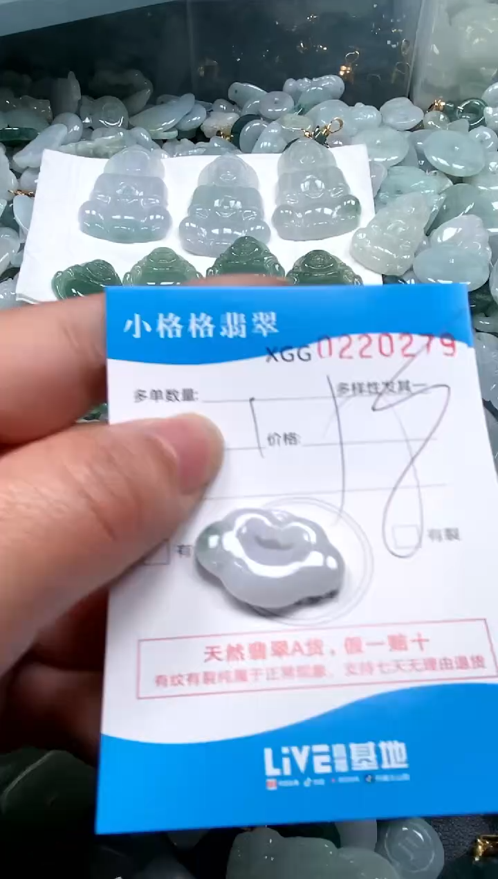 【闪购商品】翡翠颈饰未镶嵌闪购商品0220279