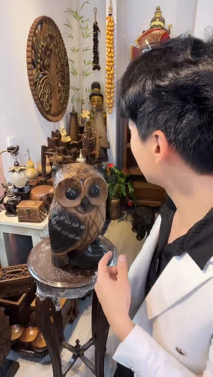 木直播间同款猫头鹰