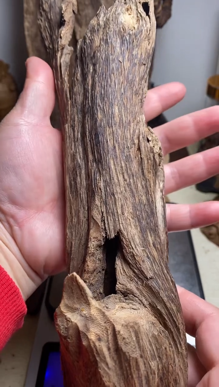 【闪购商品】沉香摆件海南沉香虫漏料139克