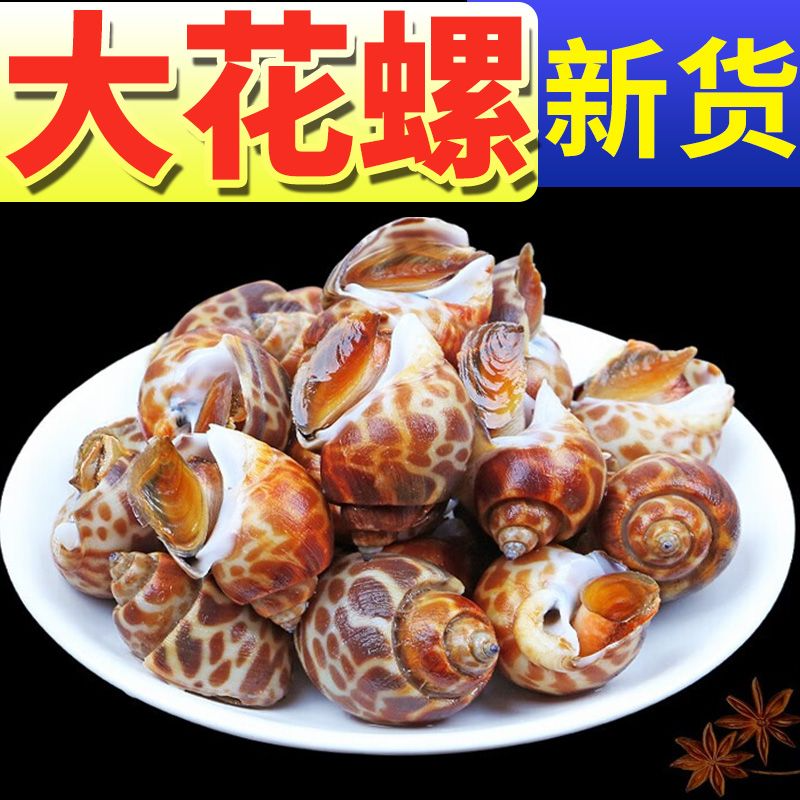 特大花螺深海鲜活速冻新鲜海鲜螺类干净鲜甜急冻锁鲜无沙无水