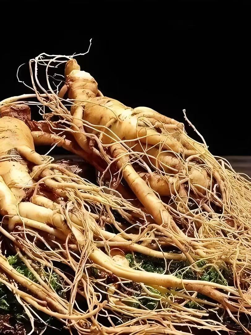 6号链接泡酒大参（单支90-130g)