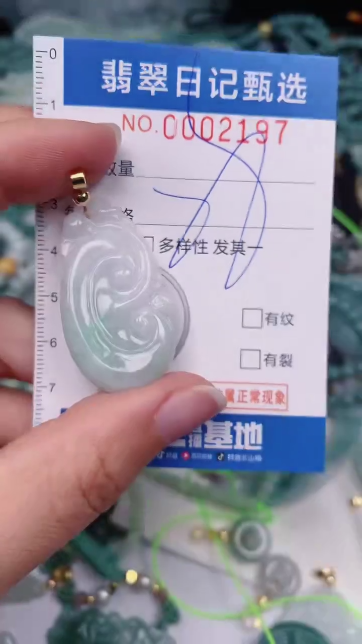 【闪购商品】翡翠颈饰未镶嵌00002197