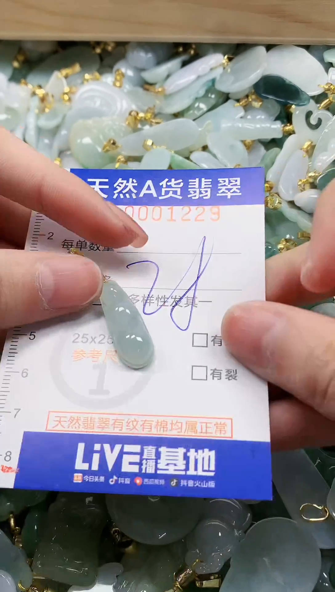颈饰未镶嵌翡翠纯天然a货翡翠