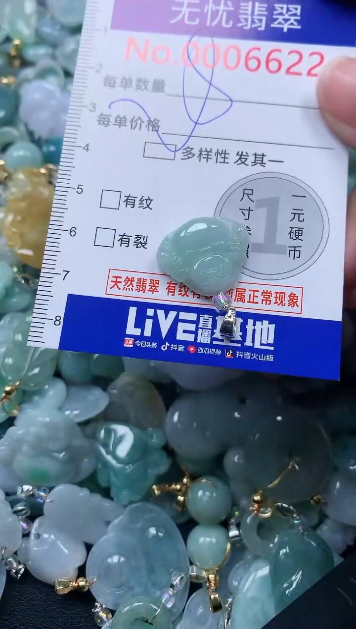 颈饰未镶嵌翡翠6622