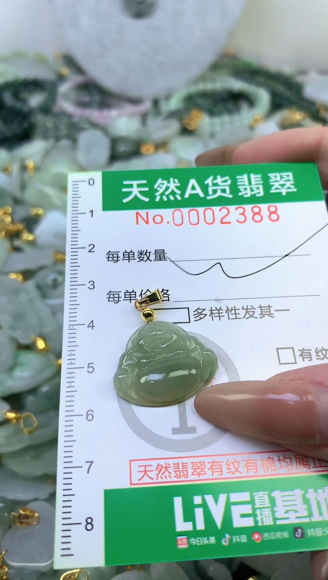 颈饰未镶嵌翡翠未镶嵌纯天然A货翡翠