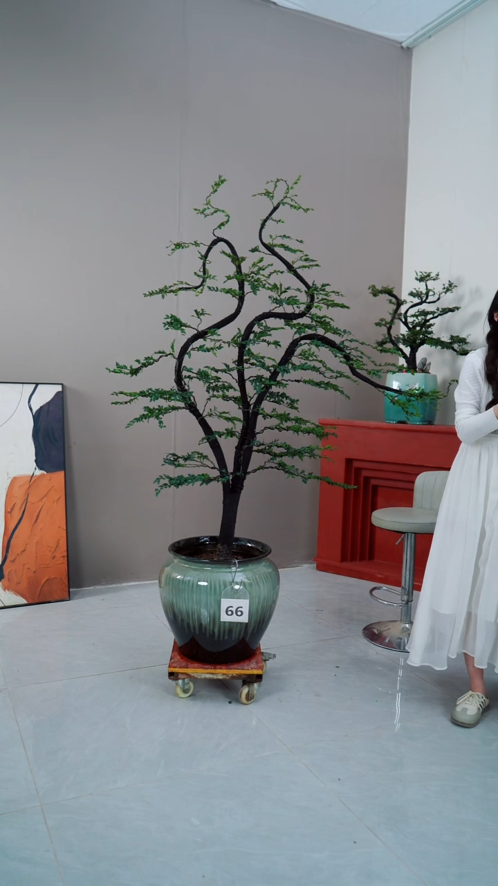 【闪购商品】66号链接