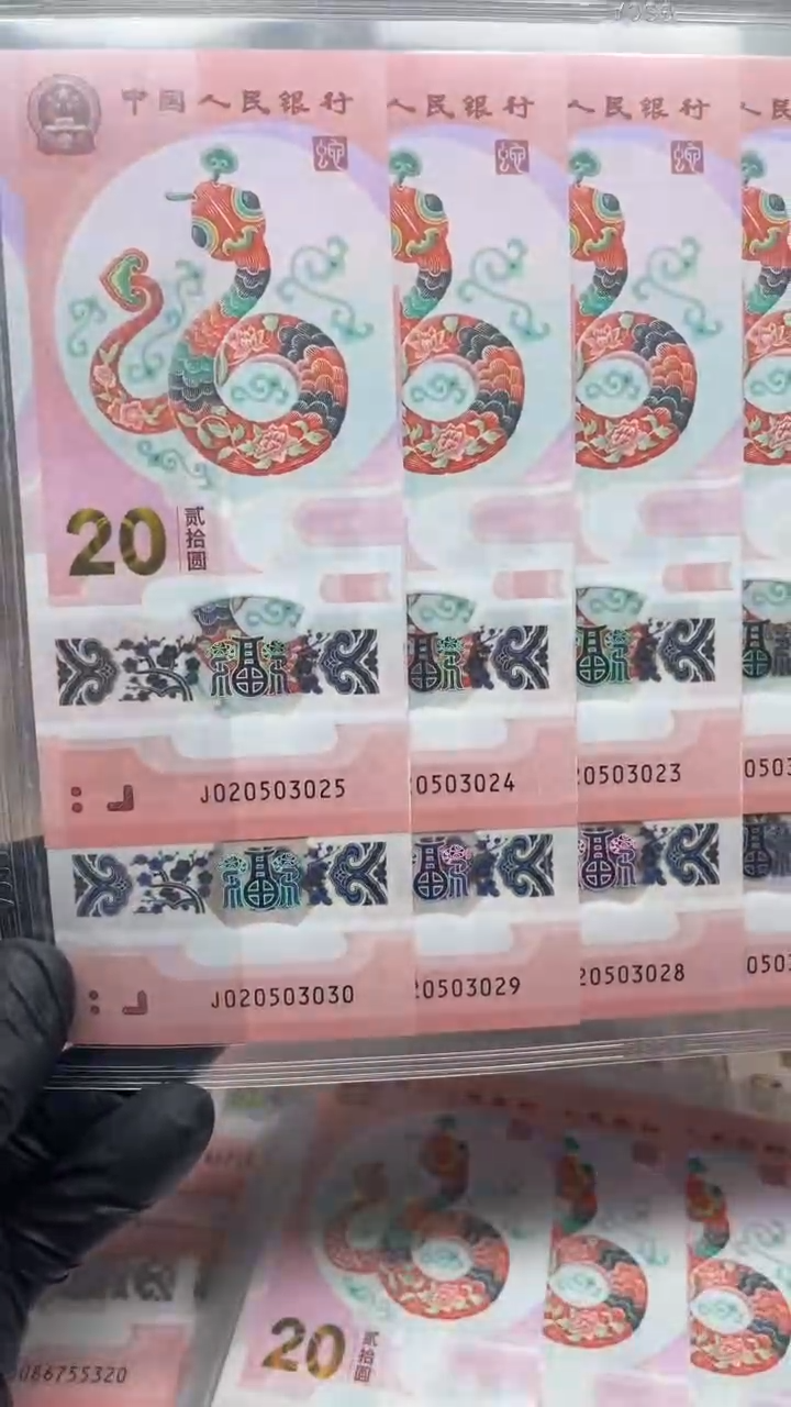 【闪购商品】塑料蛇钞020503021标十1111