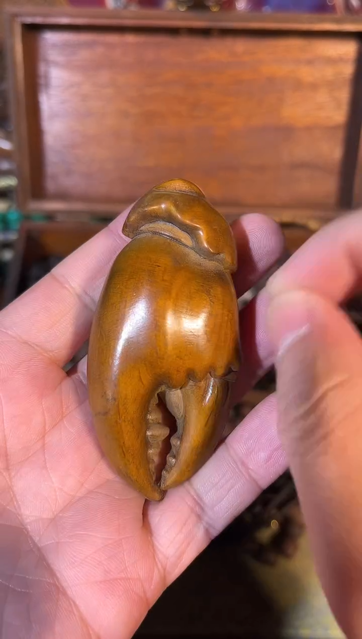 黄杨木111111111111111111