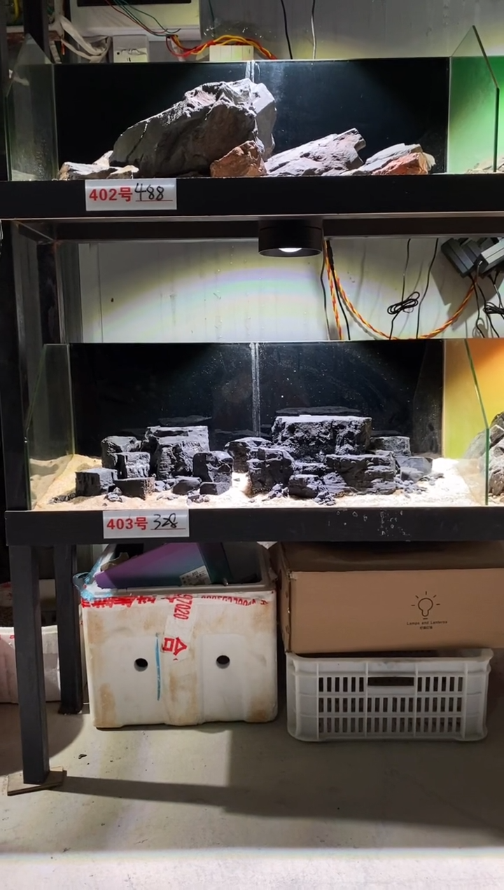 403号鱼缸造景（不含底砂）