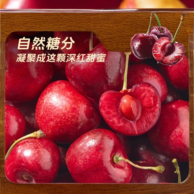 脆甜 2JD 5斤智利车厘子 桑提娜 空运内附果径卡智利车厘子桑提娜樱桃