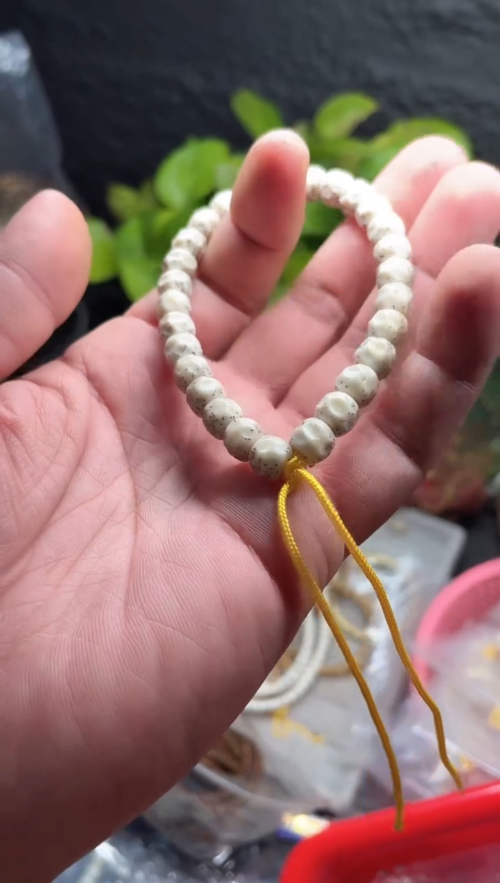 星月菩提手串海南星月菩提《*37》8X7无相手持