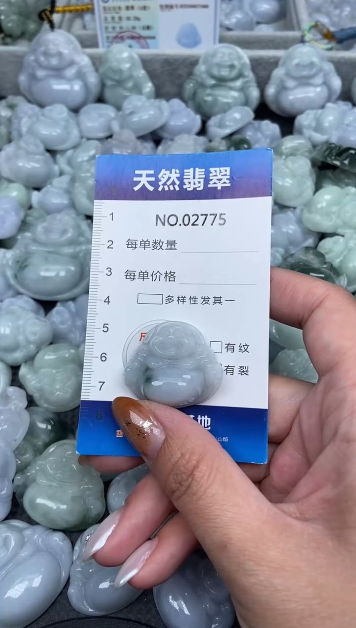 颈饰未镶嵌翡翠纯天然A货翡翠2775